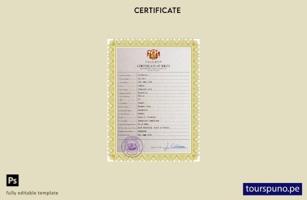 Plantilla PSD de certificado de nacimiento de Hawaii lista para imprimir